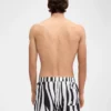 Bañador Puntini Bañador con estampado Zebra Arty Bañador Puntini Bañador con estampado Zebra Arty